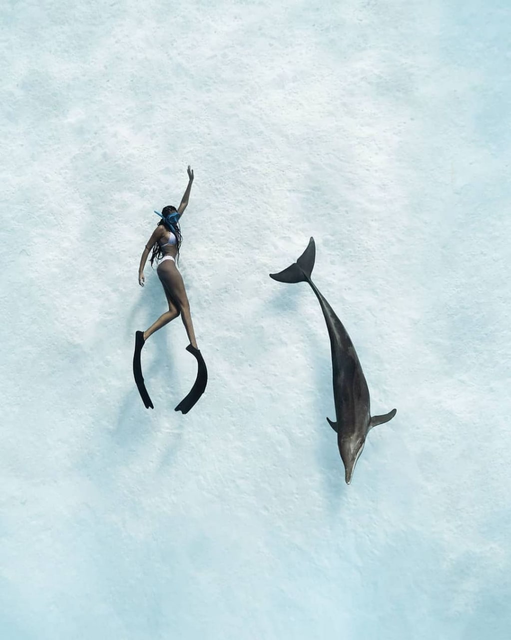 1023x1280, 104 Kb / Дельфин, девушка, дайвер