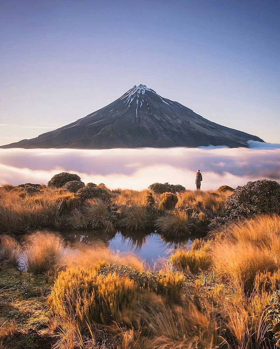 961x1200, 239 Kb / женщина, пруд, гора, пучки, кочки, трава, небо, кусты, вулкан, таракани