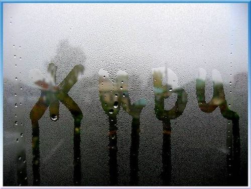 500x377, 47 Kb / стекло, живи, конденсат