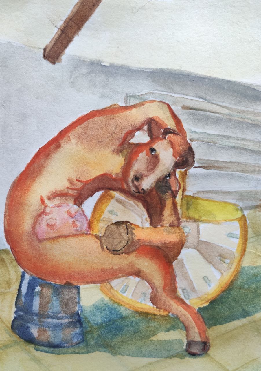 902x1280, 203 Kb / Рисунок, ведро, корова, сидит