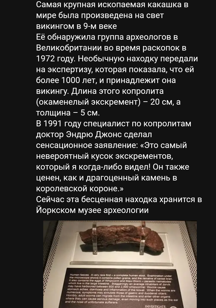720x1024, 372 Kb / Говно, какашка, викинг, копролит, окаменелость, музей