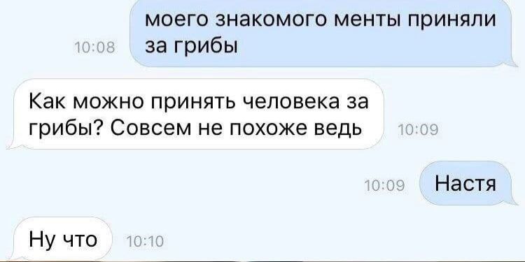 750x375, 36 Kb / Грибы, настя, менты