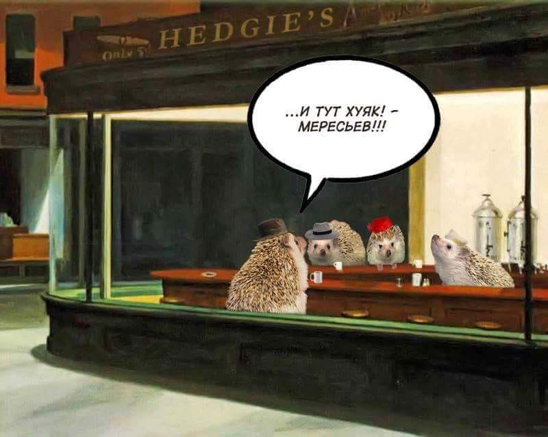 800x639, 601 Kb / Маресьев, ёж, рассказ