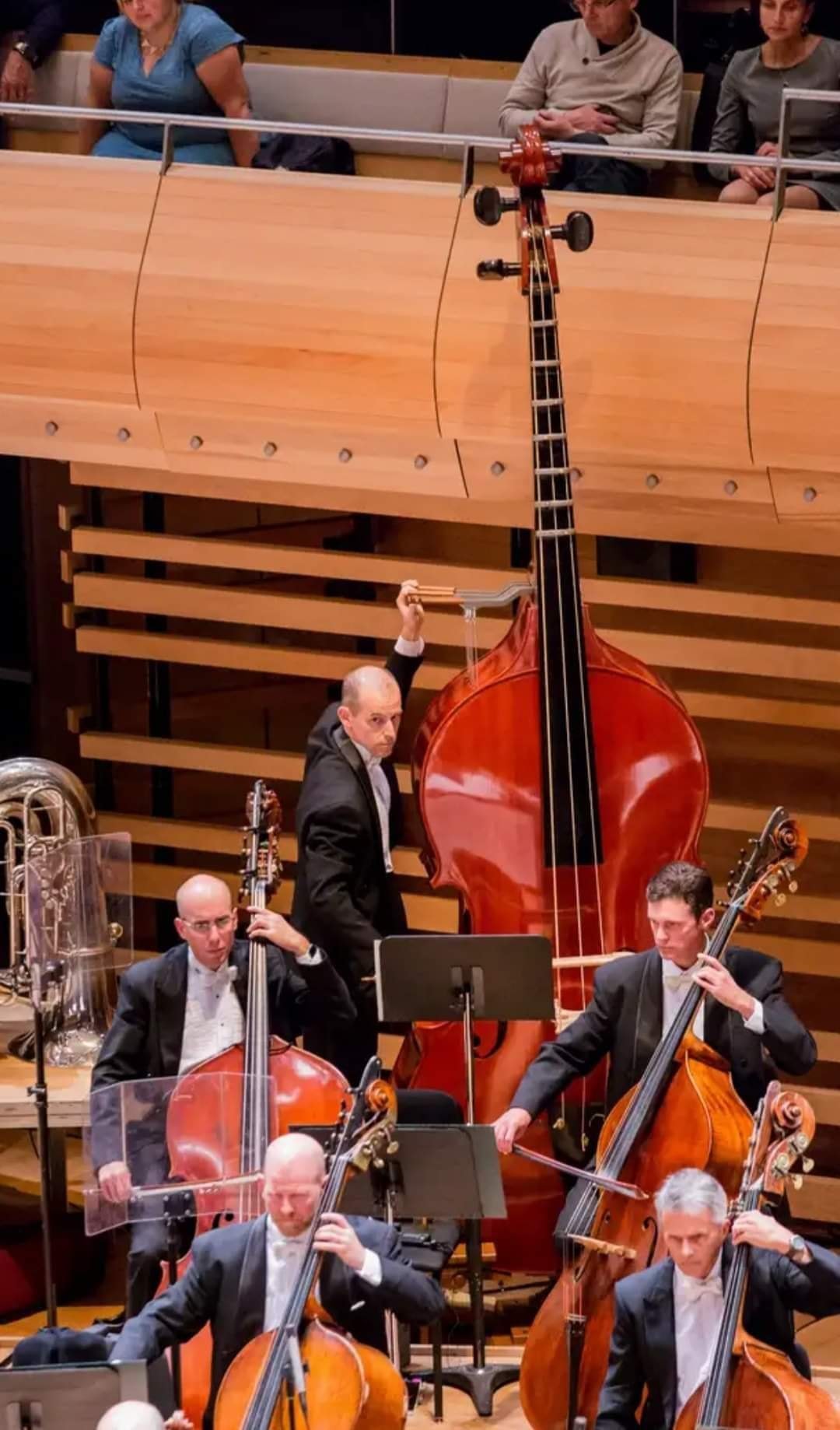 1080x1838, 198 Kb / оркестр, октобас