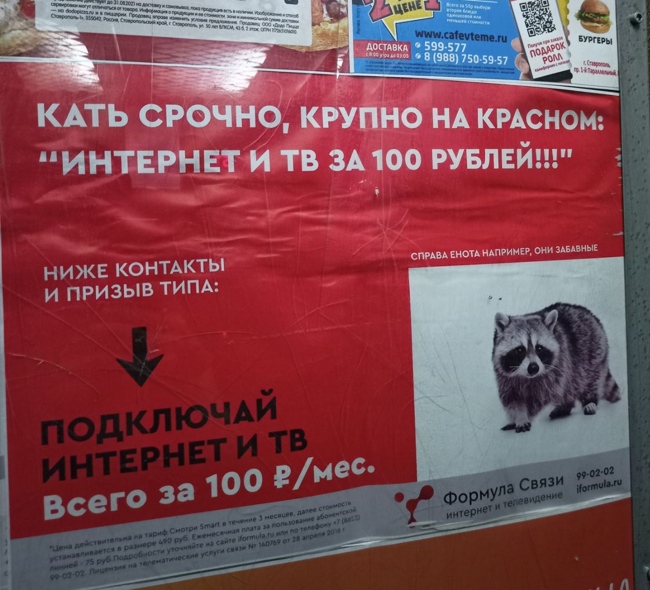 1280x1162, 195 Kb / енот, катерина, интернет, реклама, срочно