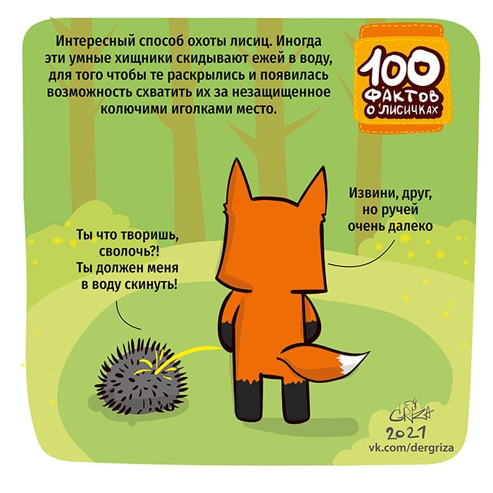 700x700, 90 Kb / еж, лиса, вода, моча, ручей, охота