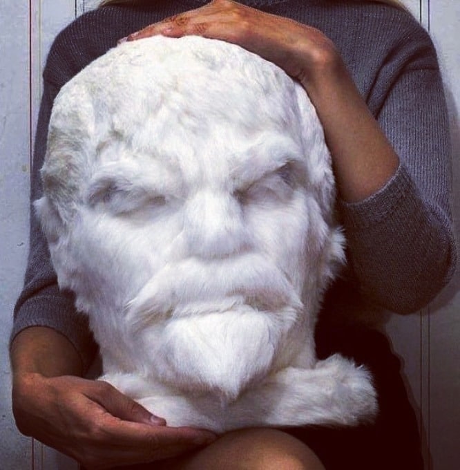 666x680, 80 Kb / ленин, шерсть