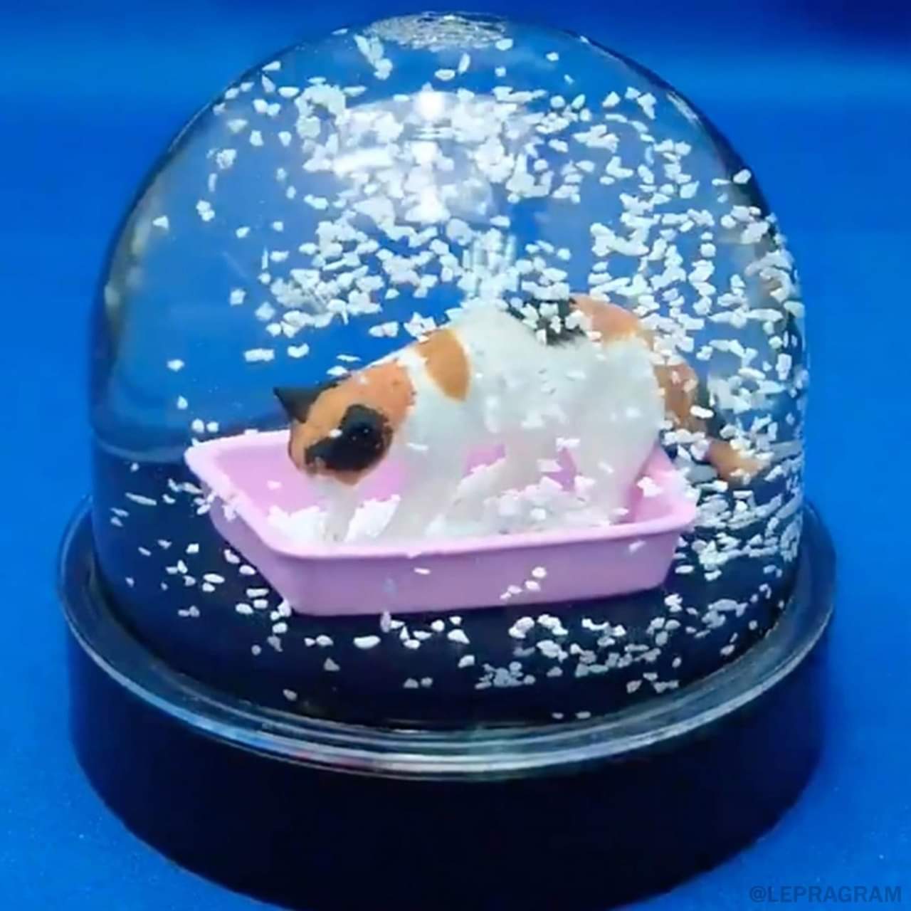 1280x1280, 91 Kb / Шар, лоток, кот, наполнитель, сувенир