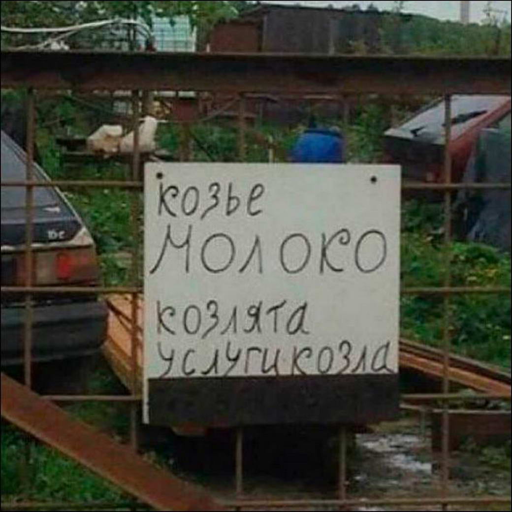 1040x1040, 93 Kb / объявление, коза, козлята, козел, молоко, услуги