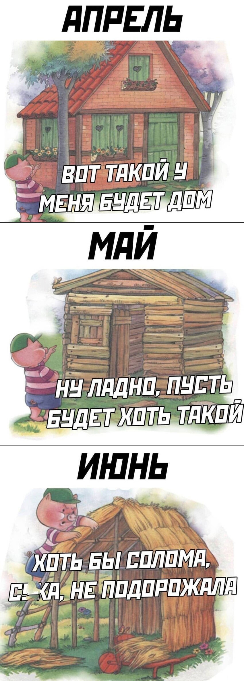 850x2371, 358 Kb / Поросёнок, дом, подорожание