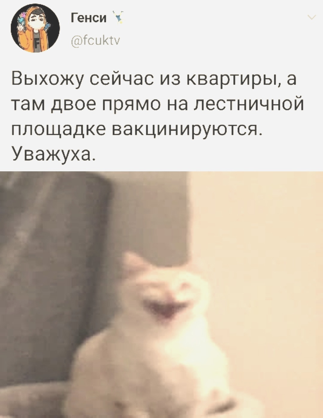 1080x1398, 179 Kb / вакцинация, подъезд, укол, кот