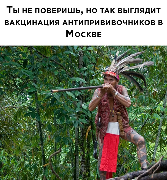 576x624, 180 Kb / вакцинация, антипрививочник, абориген, дротик, джунгли, дерево, перья