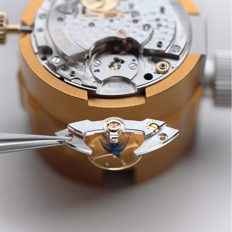 751x750, 94 Kb / Rolex, механизм, пружина