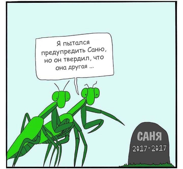 720x665, 62 Kb / Богомол, саня