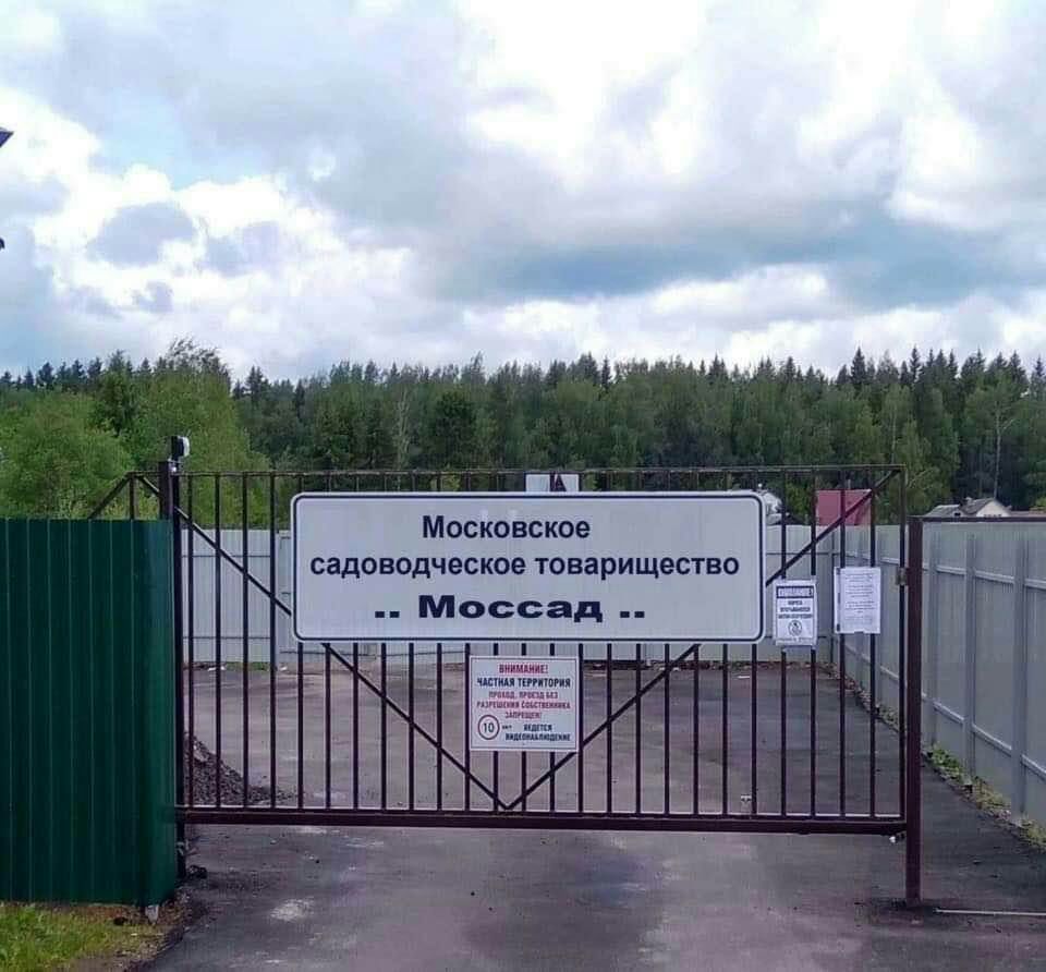 960x892, 101 Kb / моссад, товарищество