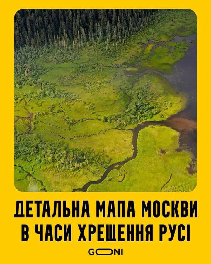 720x899, 93 Kb / лес, плавни, болото, политота