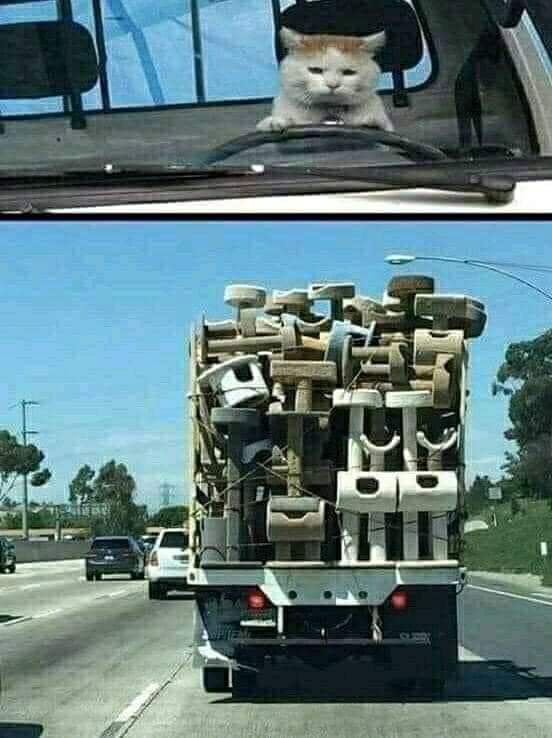 552x738, 45 Kb / Кот, водитель, когтеточка, грузовик