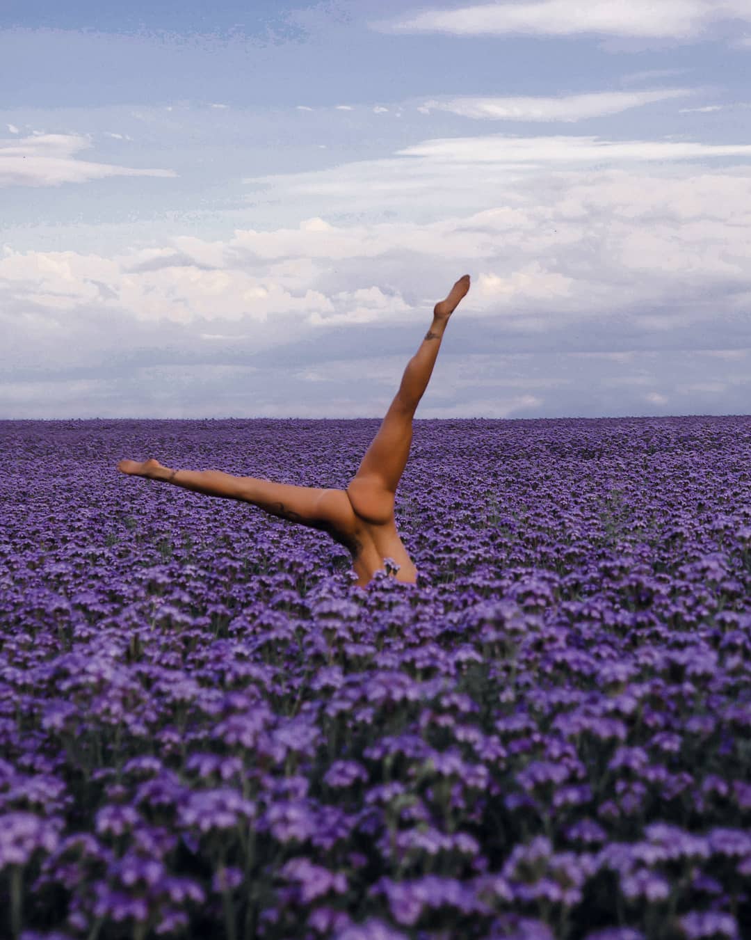 1080x1351, 135 Kb / поле, лаванда, облака, голая, тату, ноги