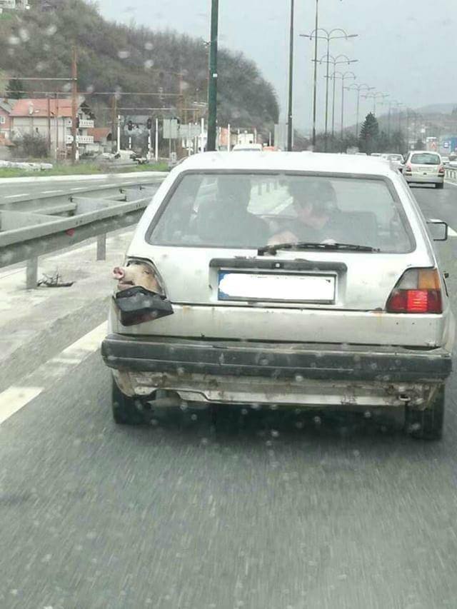 640x853, 69 Kb / свинья, фара