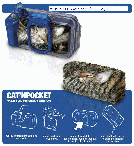 550x600, 150 Kb / сумка, кот