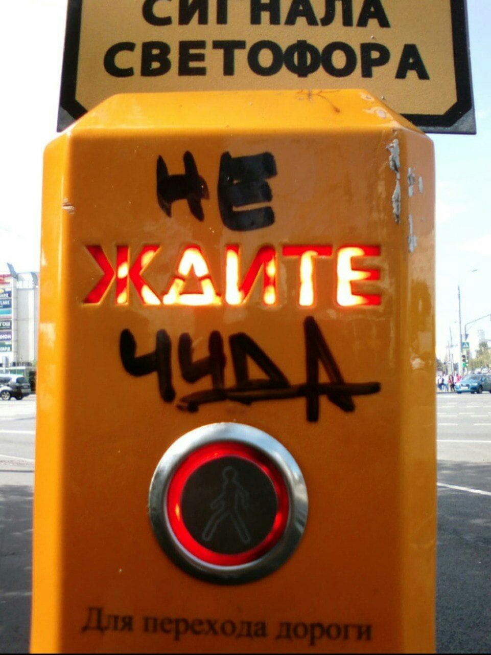 961x1280, 142 Kb / светофор, чудо, ждите, переход