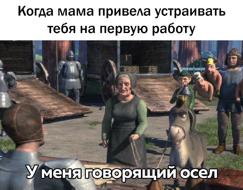 800x627, 122 Kb / мама, работа, говорящий осел