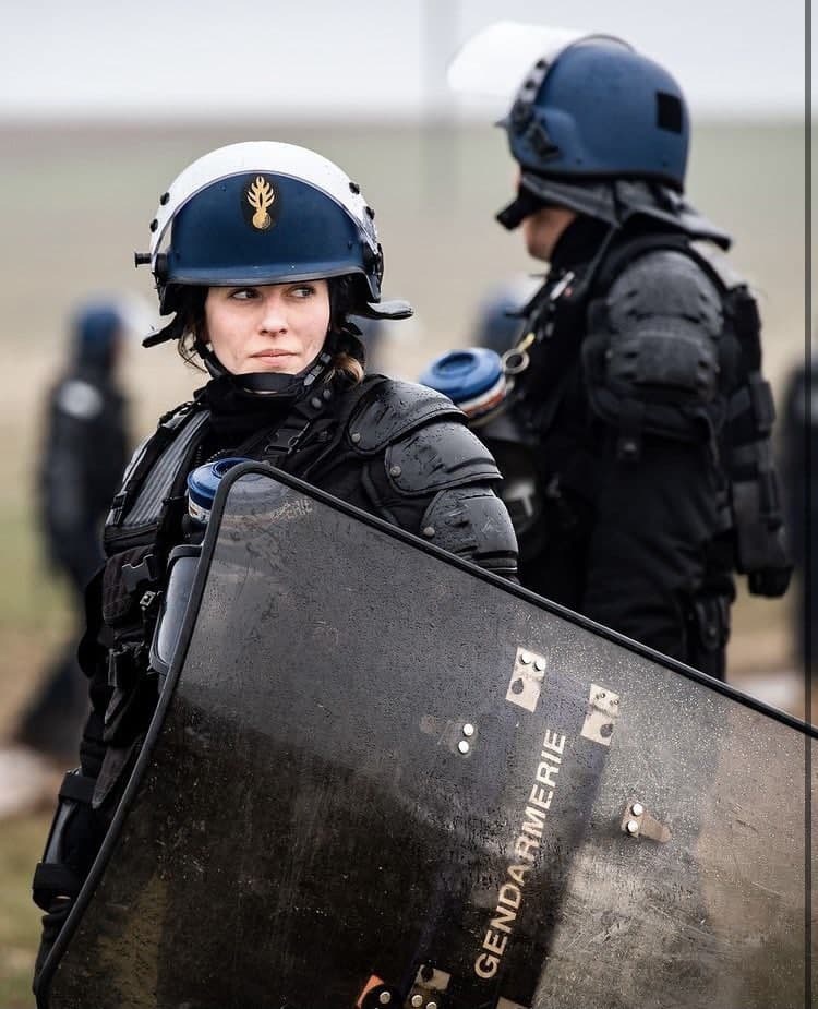 750x925, 162 Kb / полиция, жандарм, жандарметка, щит, каска