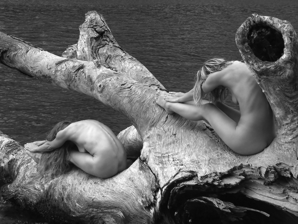 1000x750, 308 Kb / женщины, коряга, дерево, воды, ч/б