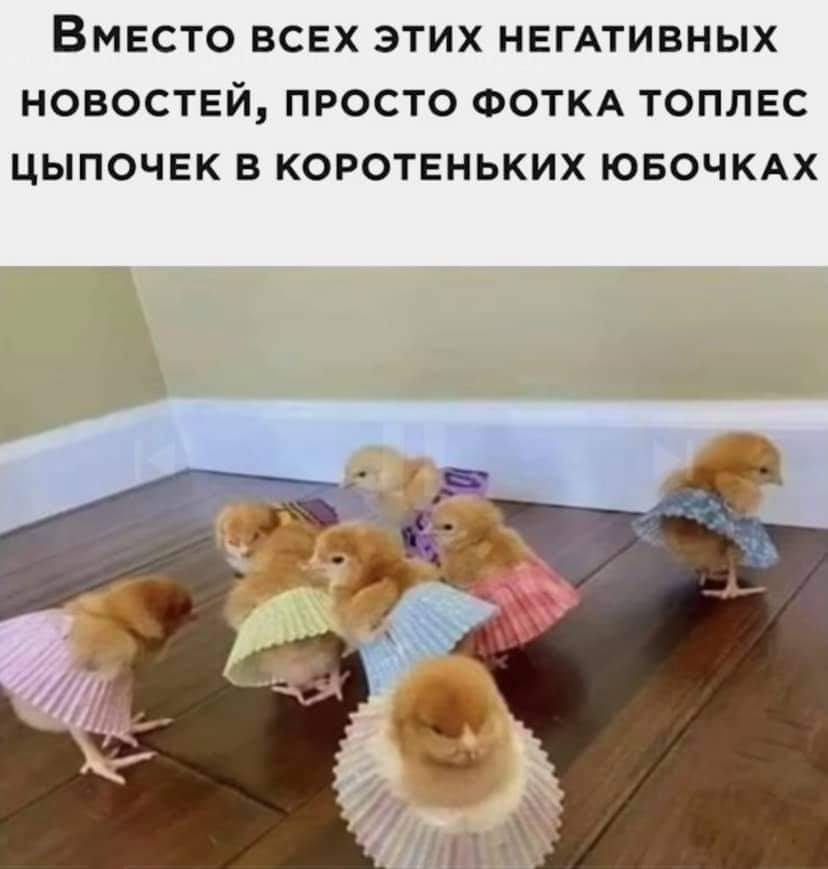 828x869, 41 Kb / Цыплята, юбки, топлес