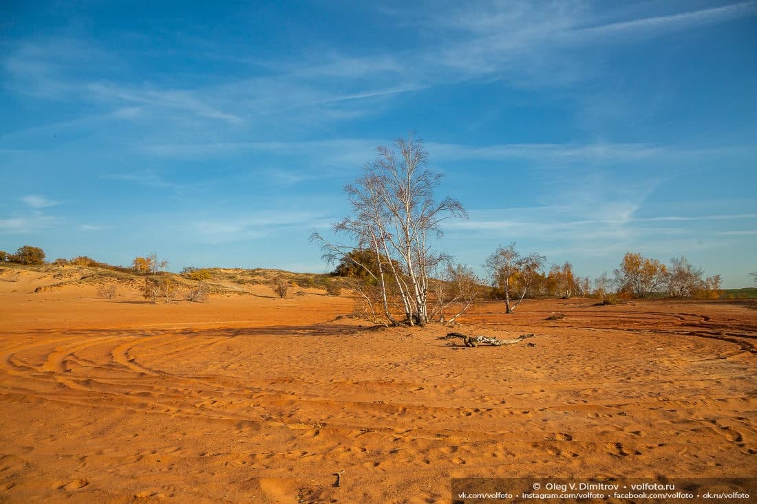 1100x733, 95 Kb / окрестности, песок, холмы, деревья