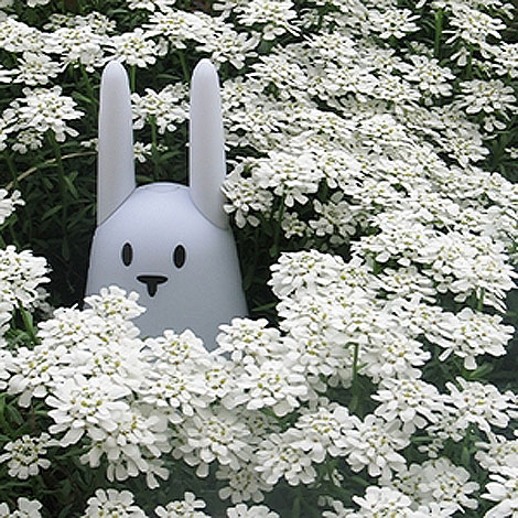 470x470, 100 Kb / кролик, wi-fi, гаджет