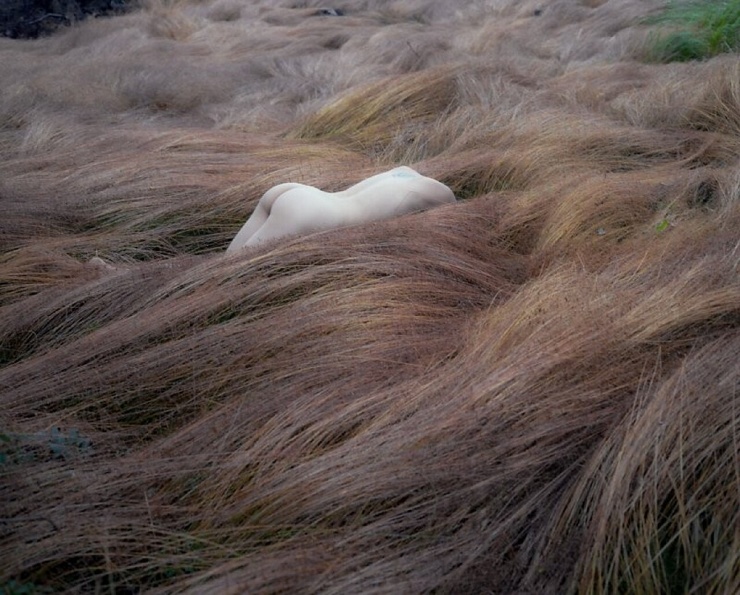 740x595, 173 Kb / Трава, волны, голая, Ярослав Ярема