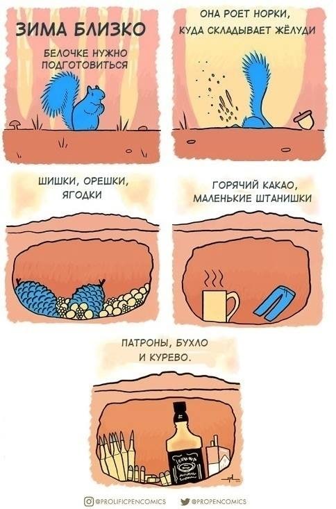 484x733, 58 Kb / белочка, норка, шишки, орешки, патроны, бухло, зима