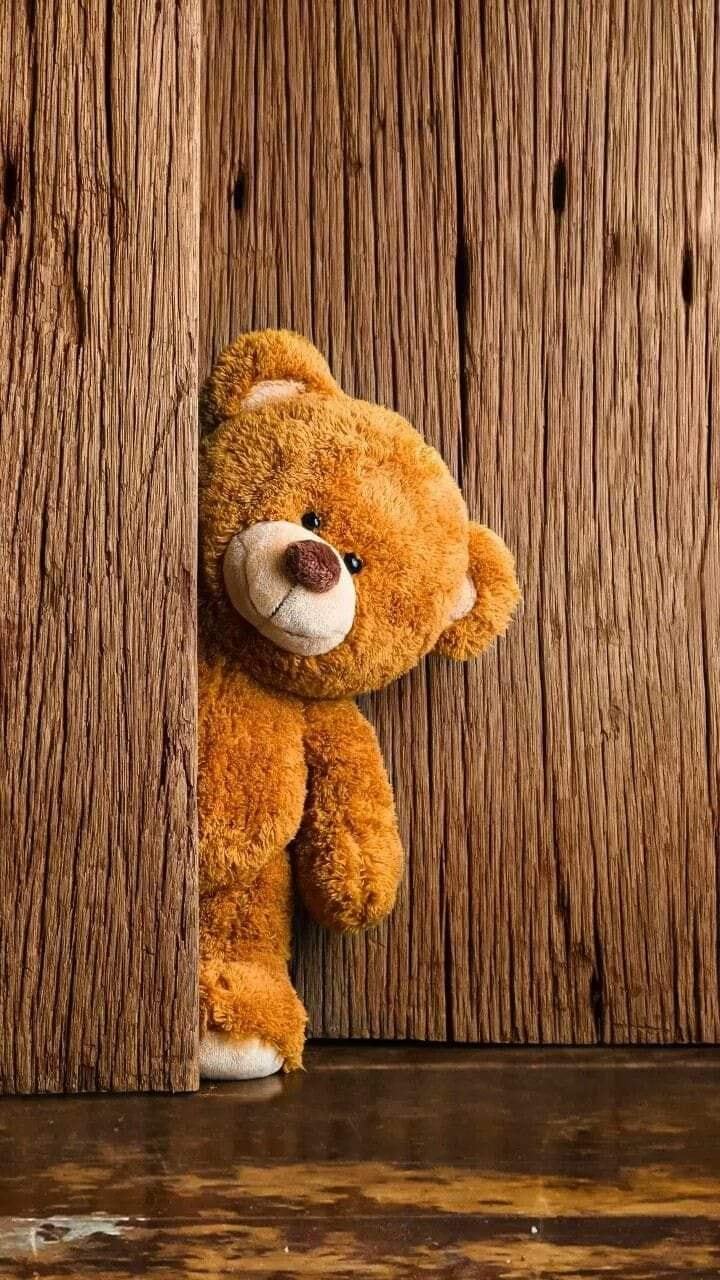 720x1280, 194 Kb / мишка, медведь, мягкая игрушка