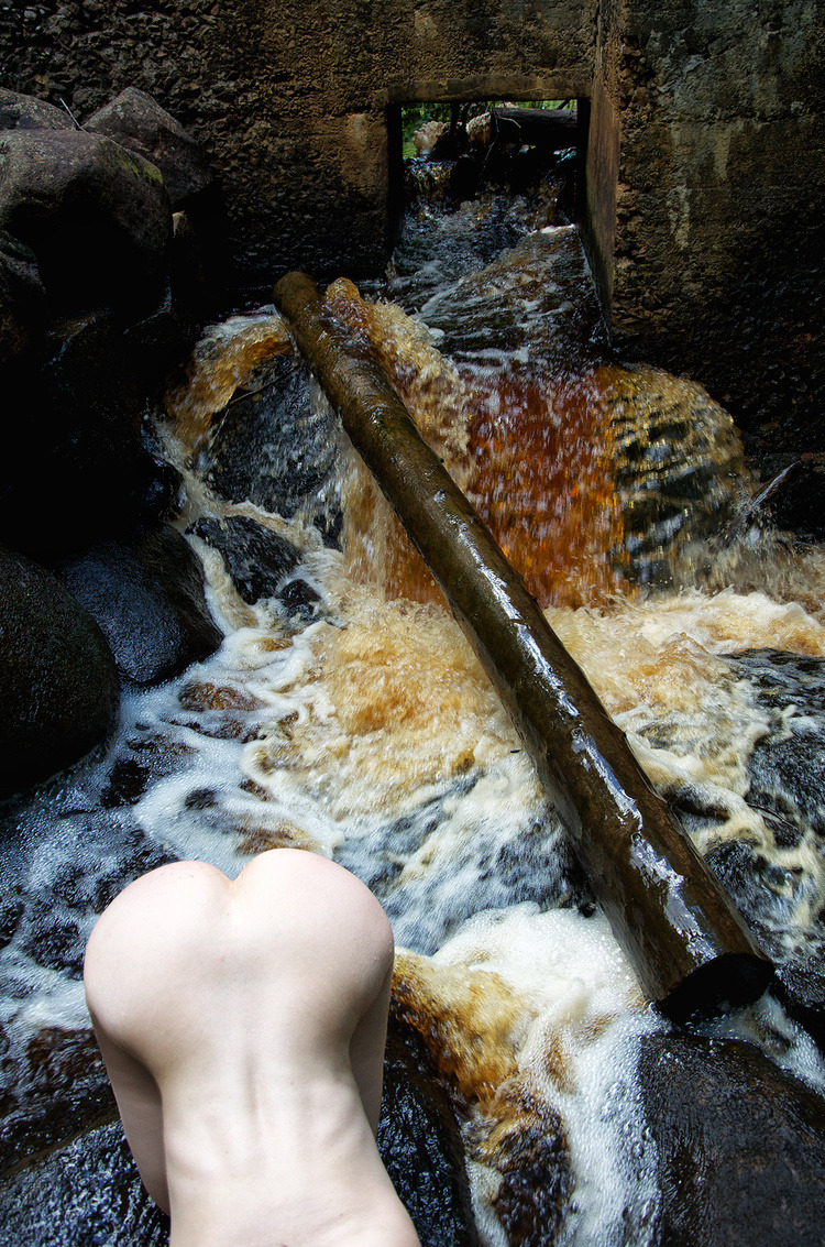 750x1133, 527 Kb / вода, поток, слив, бревно, попости, раком