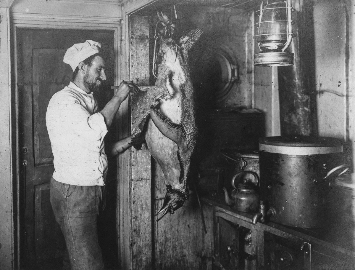 1200x911, 213 Kb / ч/б, повар, пингвин, Антарктида, котёл, кухня, лампа, керосинка