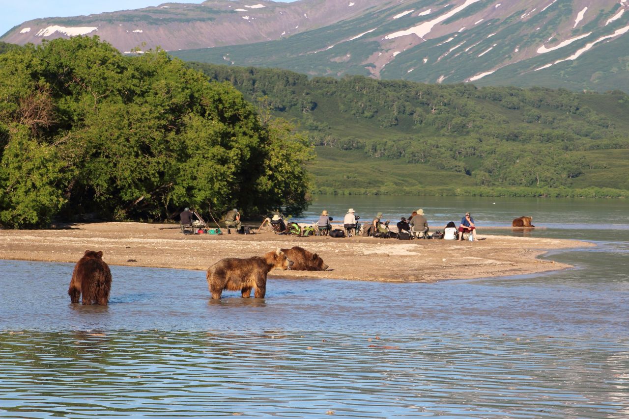 1280x854, 247 Kb / медведь, горы, рыбалка, рыбак