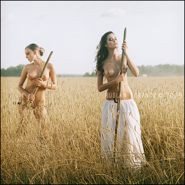 604x604, 238 Kb / лобанов, поле, пшеница, коса, топлесс, девушки