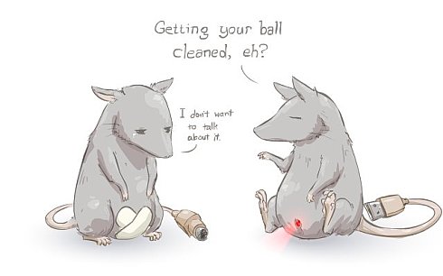 490x306, 19 Kb / мышка, мышь, mouse