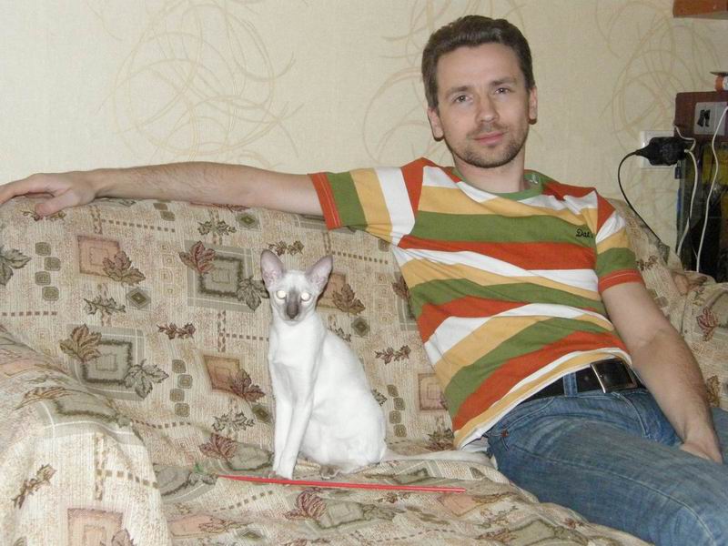 800x600, 86 Kb / Mr. DIM, кошка