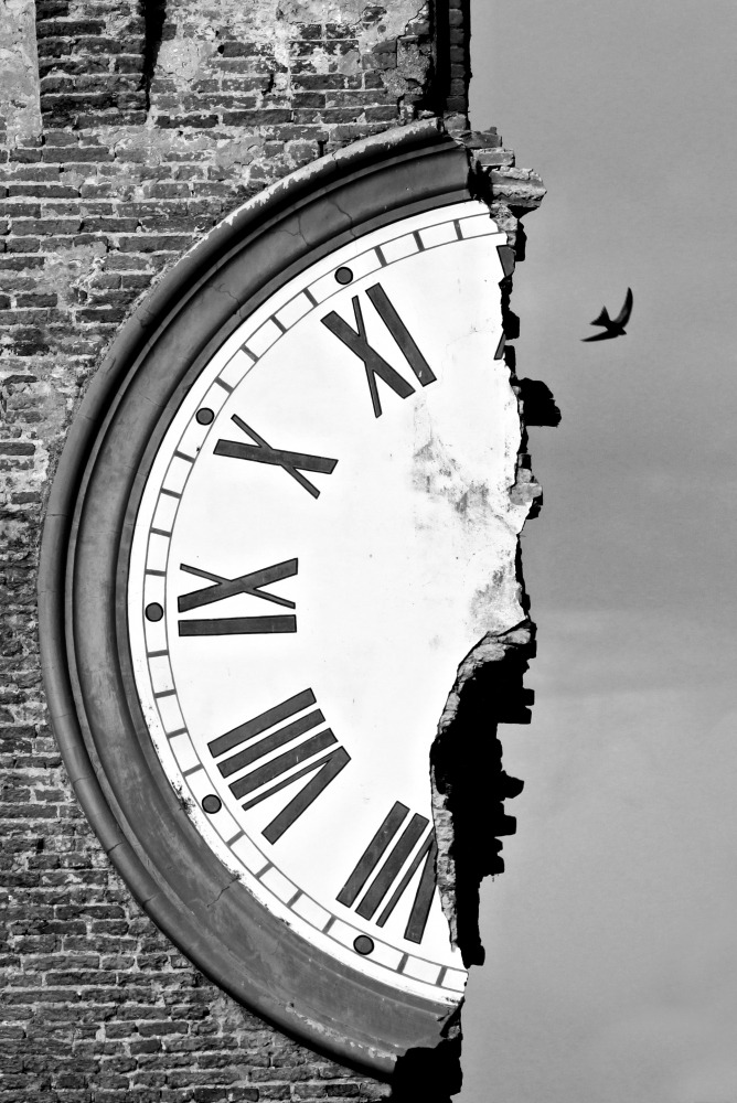 668x1000, 195 Kb / циферблат, кирпич, птица, ч/б