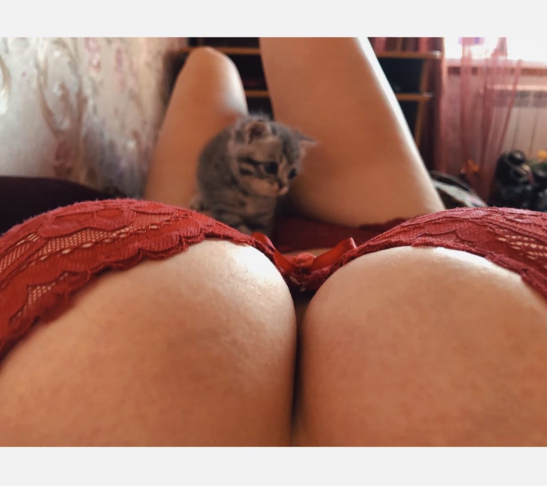 1104x981, 80 Kb / котёнок, грудь, красное бельё, холмы, девушка, лежит