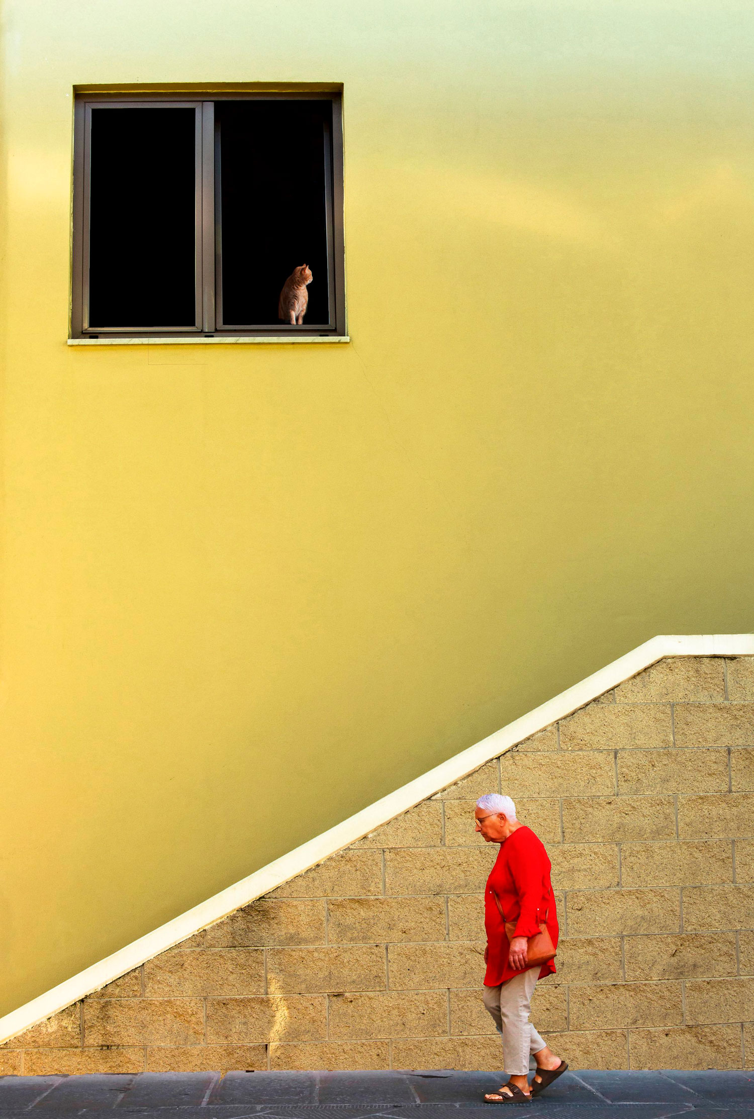 1500x2226, 581 Kb / кот, окно, жёлтый, красное, старушка, бабушка, очки, сумка