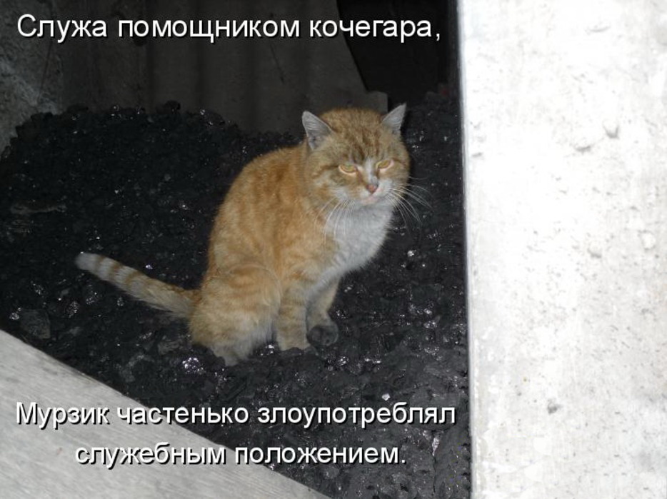 934x699, 168 Kb / кот, муррзик, кочегар, уголь