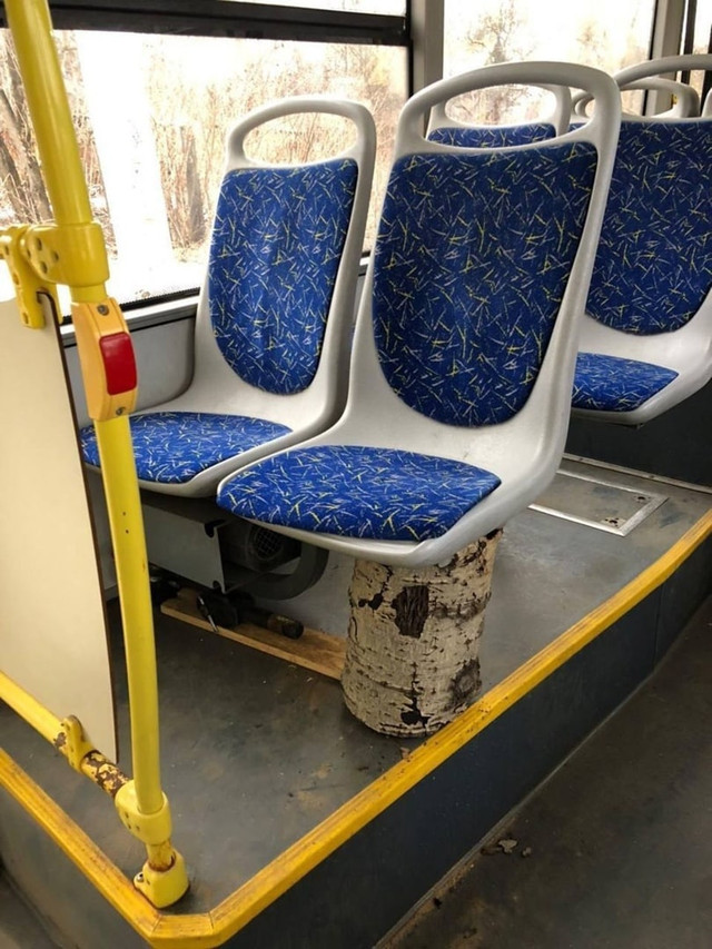 640x853, 164 Kb / автобус, полено, береза, дерево, чурка, бревно, смекалка