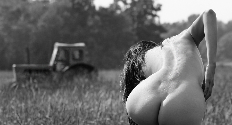 900x484, 217 Kb / ч/б, трактор, поле, голая, раком