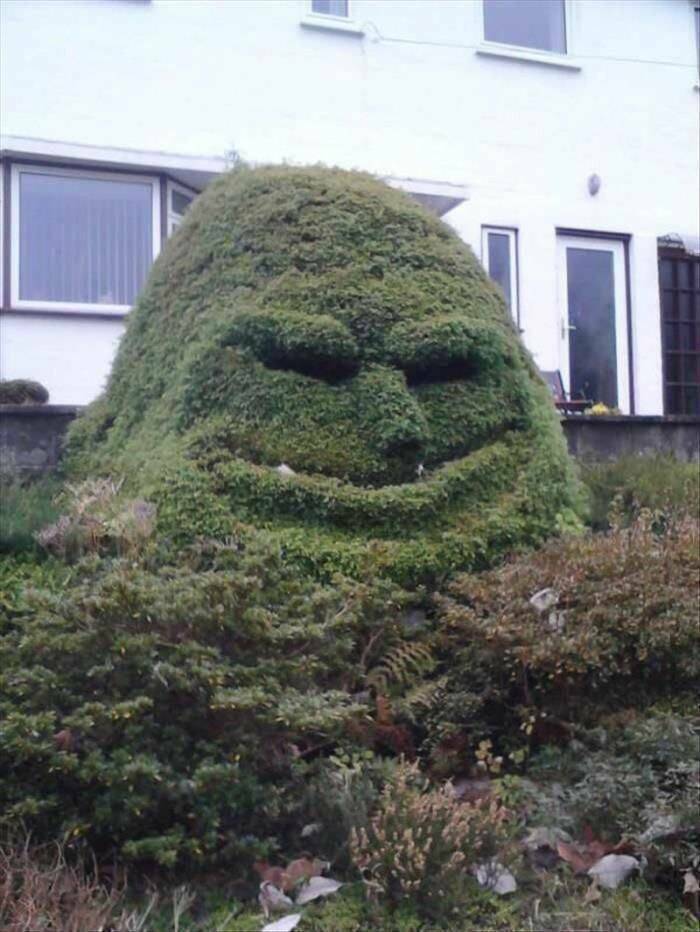 700x932, 79 Kb / Растение, трава, лицо, улыбка