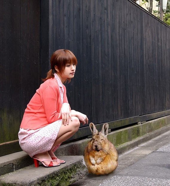 568x621, 86 Kb / девушка, кролик, возможно симка