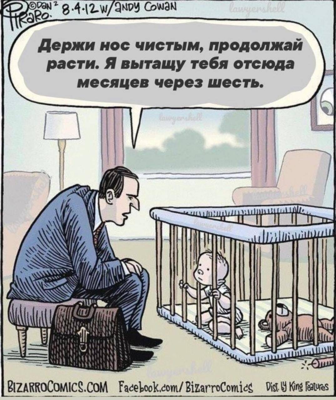 1074x1280, 196 Kb / адвокат, решётка, срок