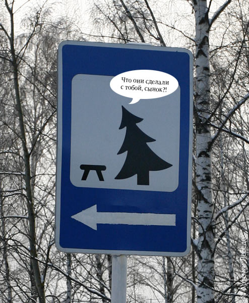 494x600, 85 Kb / знак, елка, табуретка, береза